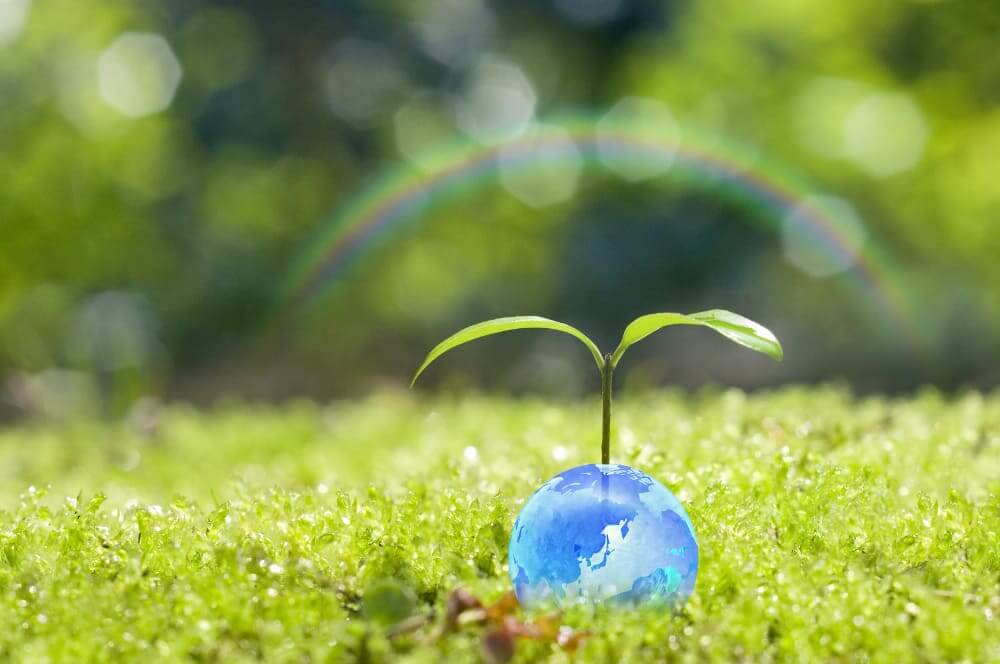 VBAエキスパート資格概要